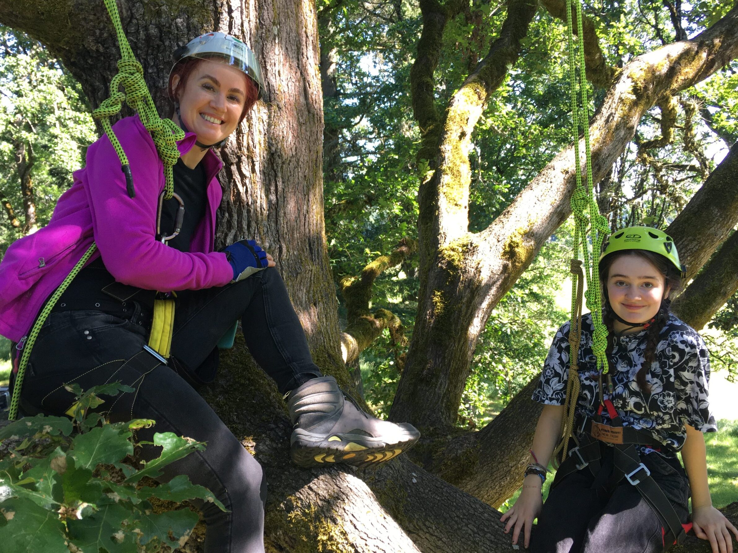 Courses – Tree Climbing Planet